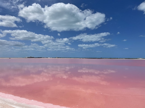 メキシコ、ラスコロラダス<br />
ピンクの塩田と空のコントラストが美しかったです。<br />
メキシコのユカタン半島には1ヶ月ほど滞在して、色々な場所を訪れました(撮影/ご紹介:Mさん)